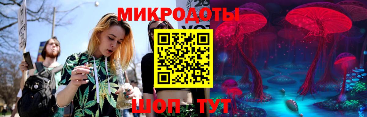 Качканар  Галлюциногенные грибы прущие грибы  Вход с VPN  Псилоцибиновые грибы Cubensis 